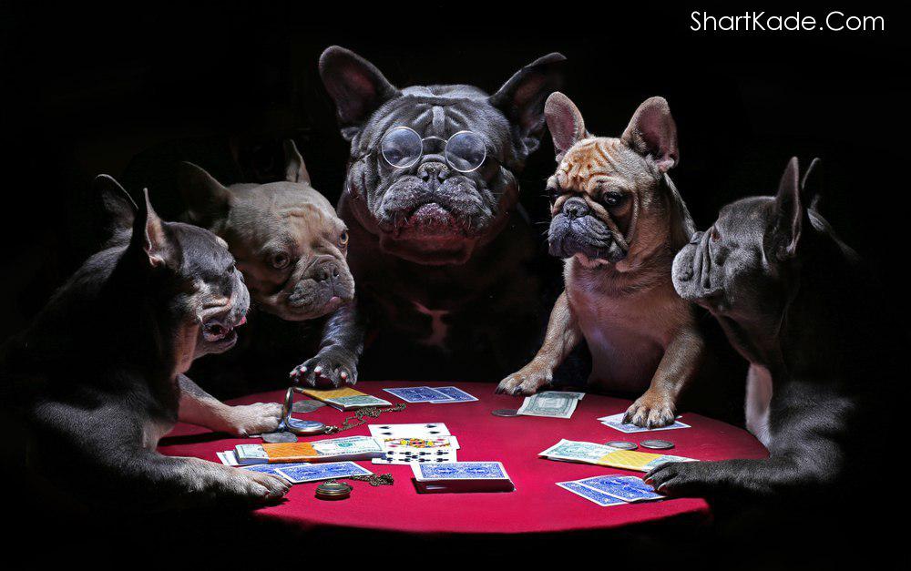 پنج توصیه برای بلوف زدن حرفه‌ای در بازی پوکر